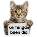 Stiker