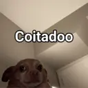 ملصق