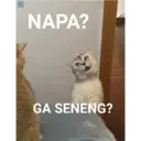 اسٹیکر