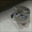اسٹیکر