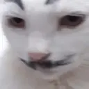 Naljepnica