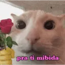 Naljepnica