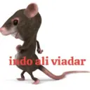 Stika