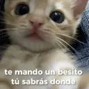 ملصق