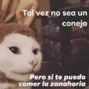 Stika
