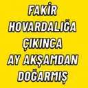 Límmiði