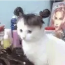 Çıkartma