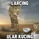 Çıkartma