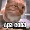 اسٹیکر