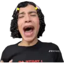 ਸਟਿਕਰ