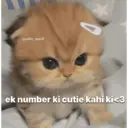 贴纸