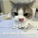 贴纸