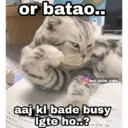 贴纸