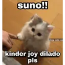 贴纸