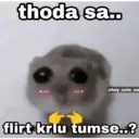 贴纸