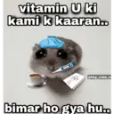 贴纸