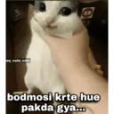 贴纸