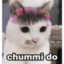 贴纸