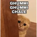 贴纸