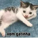Figurinha