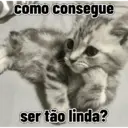 Figurinha