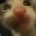 贴纸