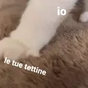 贴纸