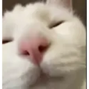 贴纸