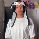 Stika