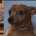 Naljepnica