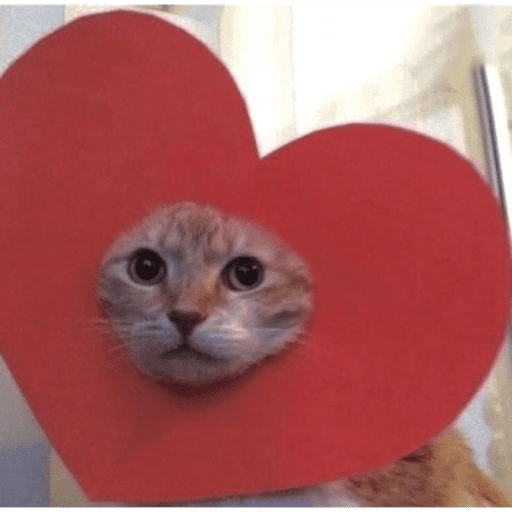 Gatinhos reagindo Naklejki do WhatsApp