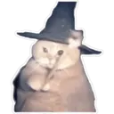 Стикер