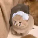 Figurinha