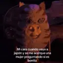 Figurinha