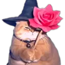 Стикер