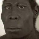 ملصق