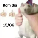 Figurinha