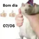 Figurinha