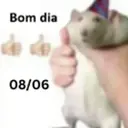 Figurinha