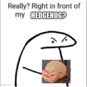 ਸਟਿਕਰ