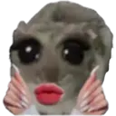 ஸ்டிக்கர்