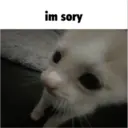 Կպչուն պիտակ