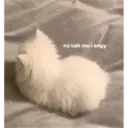 Կպչուն պիտակ