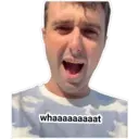 Samolepka