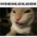 Կպչուն պիտակ