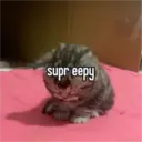 Կպչուն պիտակ