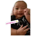 Stiker