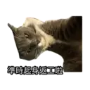 ស្ទីកเกอร์