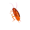 스티커