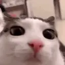 스티커